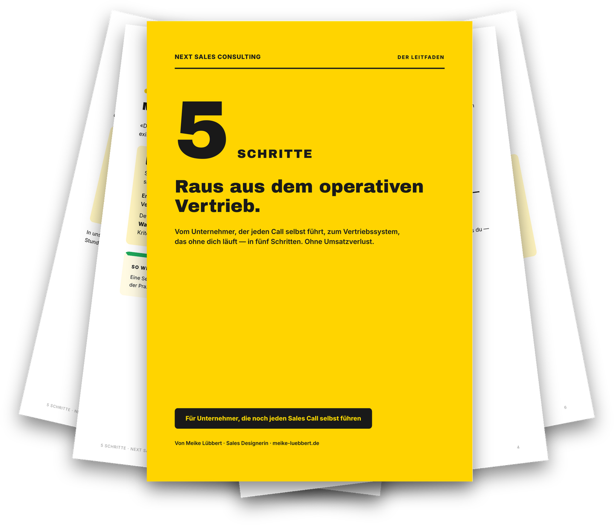 5 Schritte – Raus aus dem operativen Vertrieb (Leitfaden)